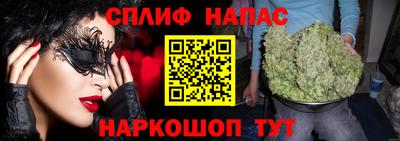 МДПВ Бийск