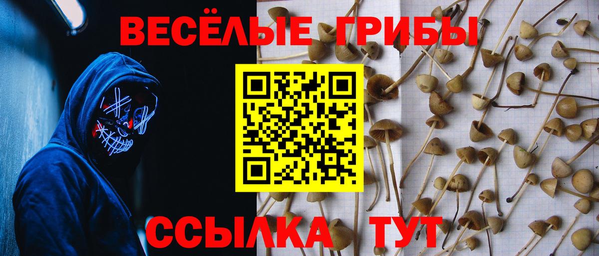Галлюциногенные грибы MAGIC MUSHROOMS  Вход с VPN  Екатеринбург 